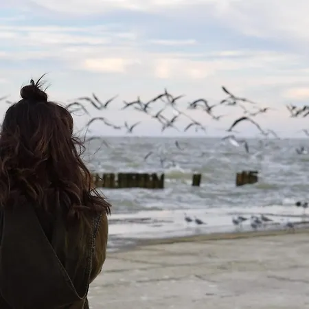 Διαμέρισμα White Pearl 4.03