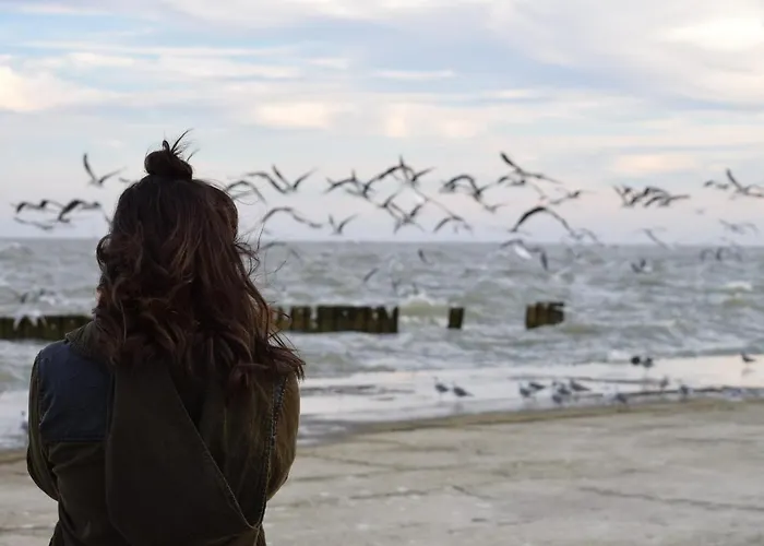 Apartment White Pearl 4.03